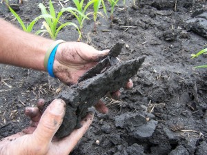ADI representatives examine a soil sample to determine the level of compaction and whether plants’ roots will be able to travel through the ground.